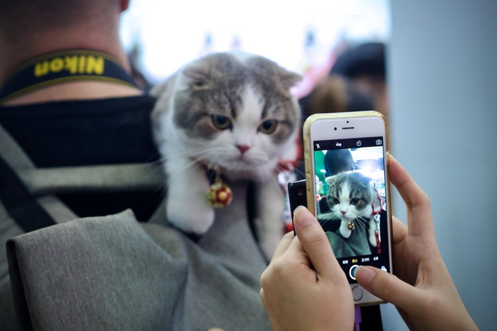 Pet and smartphone technology