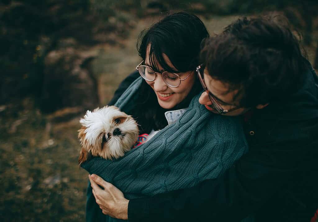 Happy dog being cuddled by owner in a park during autumn.