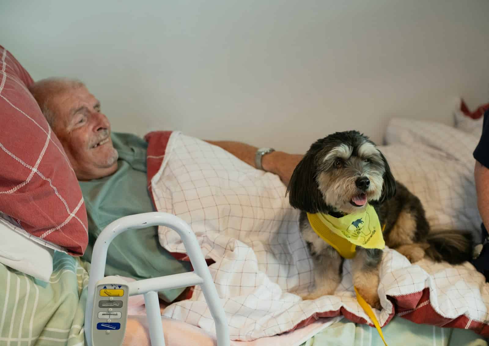 Dog with a yellow acrylic pet ID tag sitting on a hospital bed next to an elderly man.