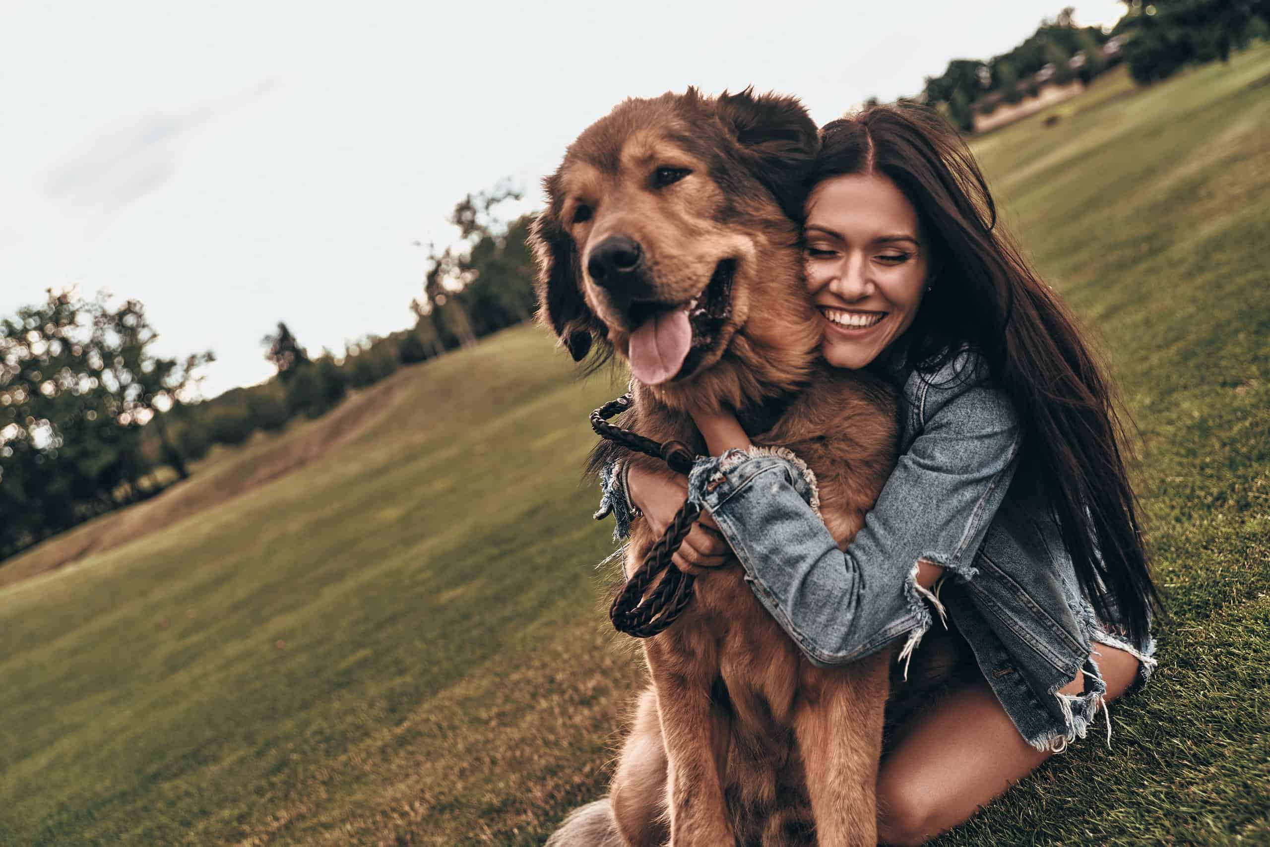 Adorable golden dog leaning happily into its owner outdoors, moving comfortably on a walk