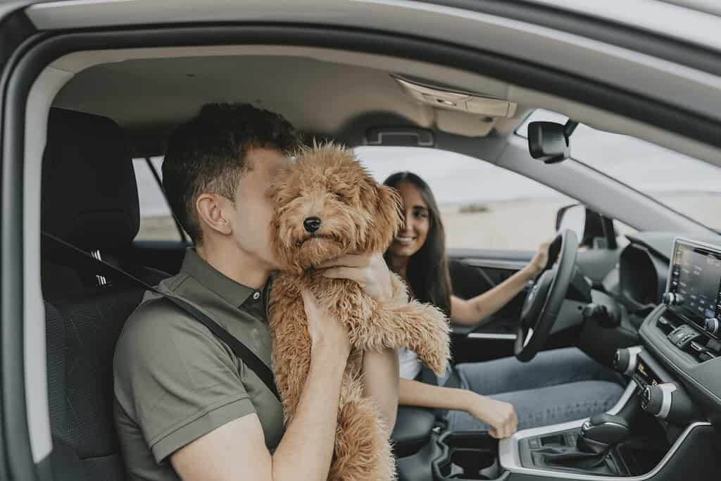 Happy dog with owners in car, enjoying a road trip.