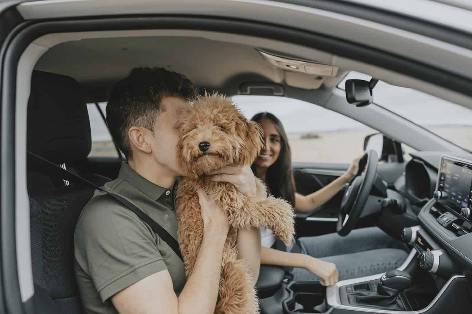 Happy dog with owners in car, enjoying a road trip.