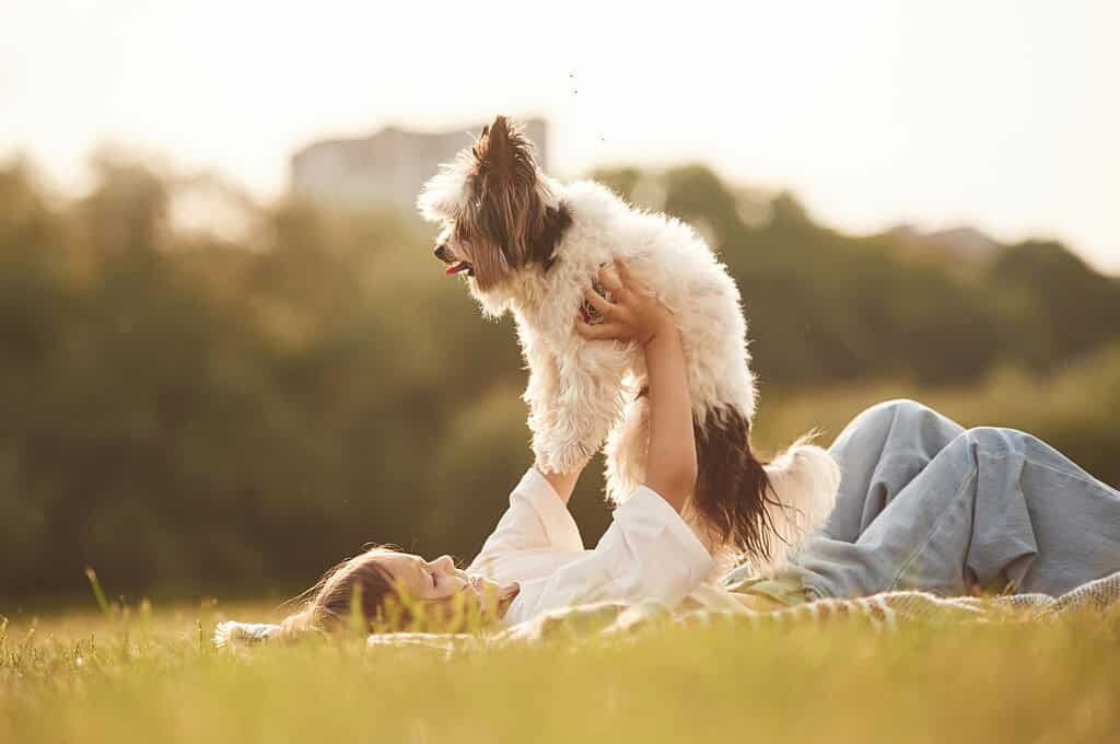 Happy woman lying in a summer field lifting her adorable fluffy dog into the air