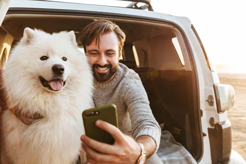 Man and fluffy dog looking at smartphone in car trunk.