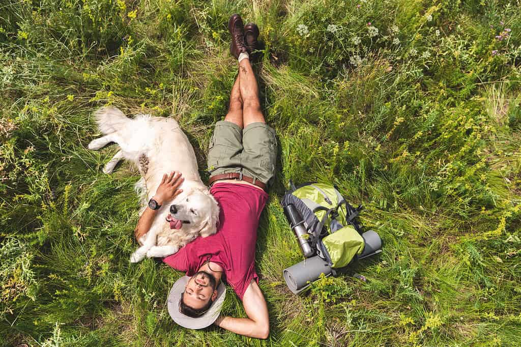 Man lying on grass with dog and hiking gear in nature.