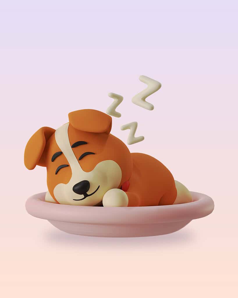 3D cartoon puppy curled up asleep in a round pink dog bed with Zzz above, on a lilac-to-peach background