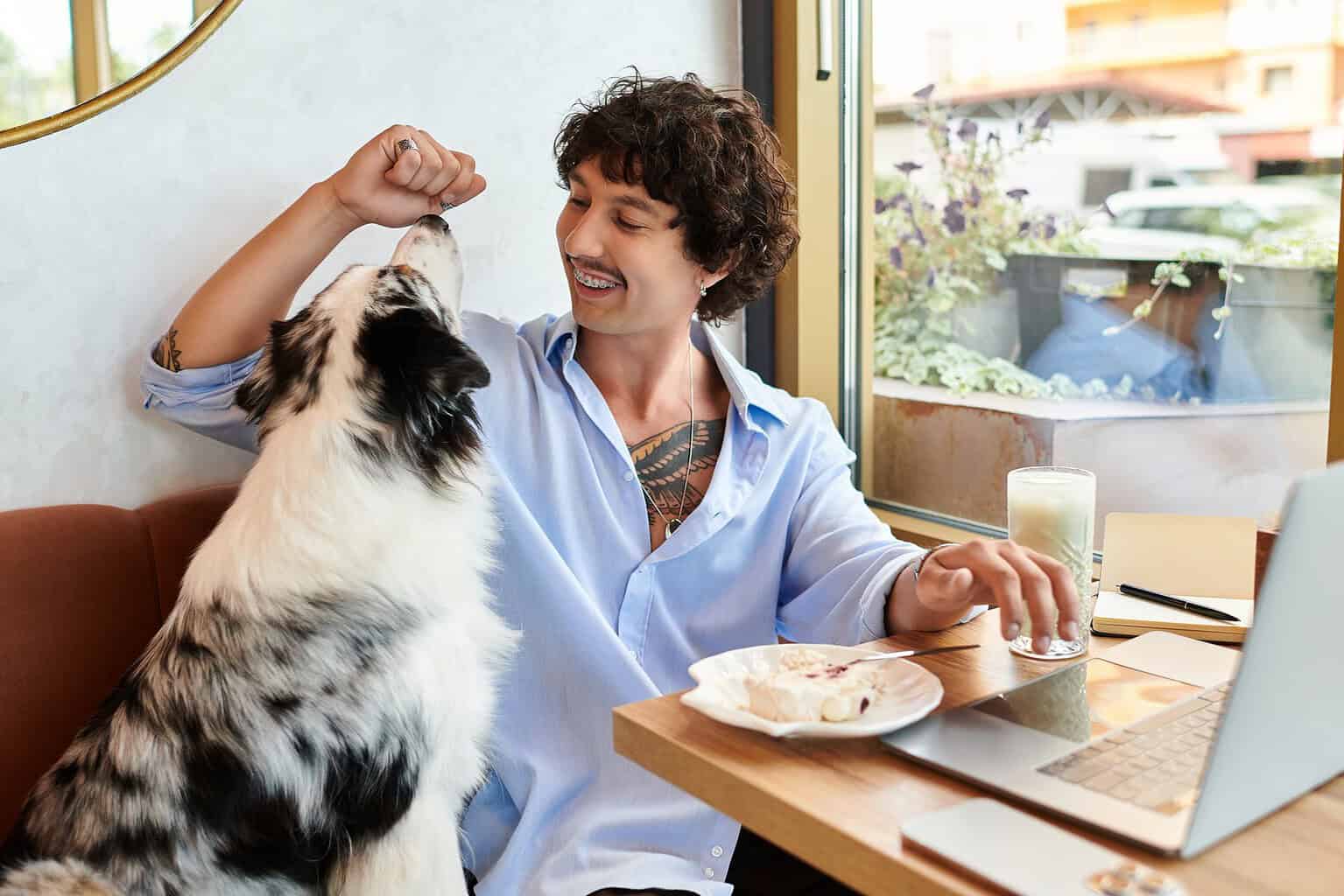 Australian shepherd begging for food at a table while its owner eats