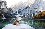 Small dog sitting on a wooden pier at a calm mountain lake ringed by rocky peaks