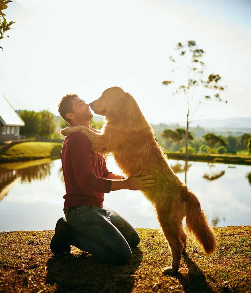 Dog and owner sharing a loving moment by the water at sunset.