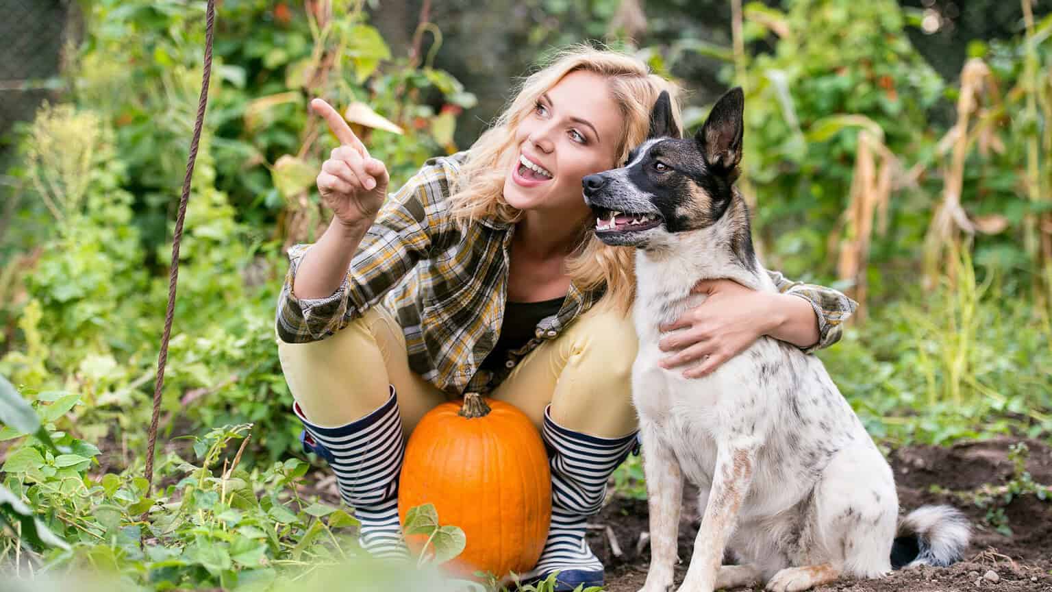 Woman kneeling with her dog beside a pumpkin in an autumn garden
