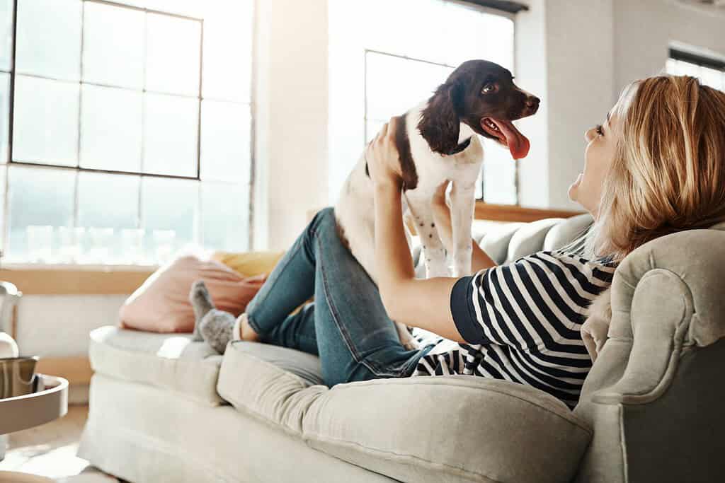 Woman laughing on a sofa as her dog climbs up for attention
