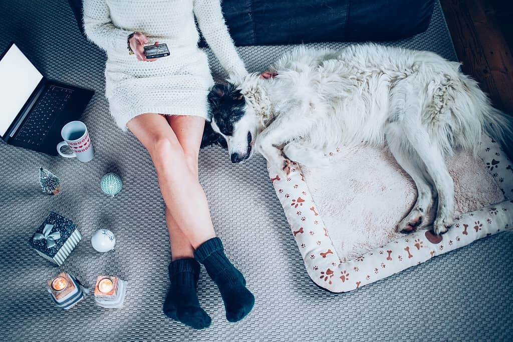 Woman relaxing on the floor with her dog near Christmas decorations